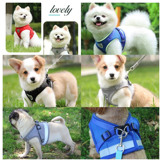 Adjustable Pet Dog Cat Harness and Leash Set