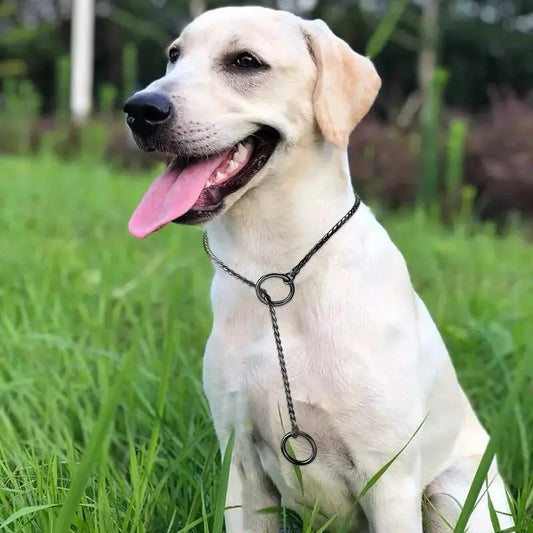 Snake Chain Dog Collar Rustproof Stainless Steel