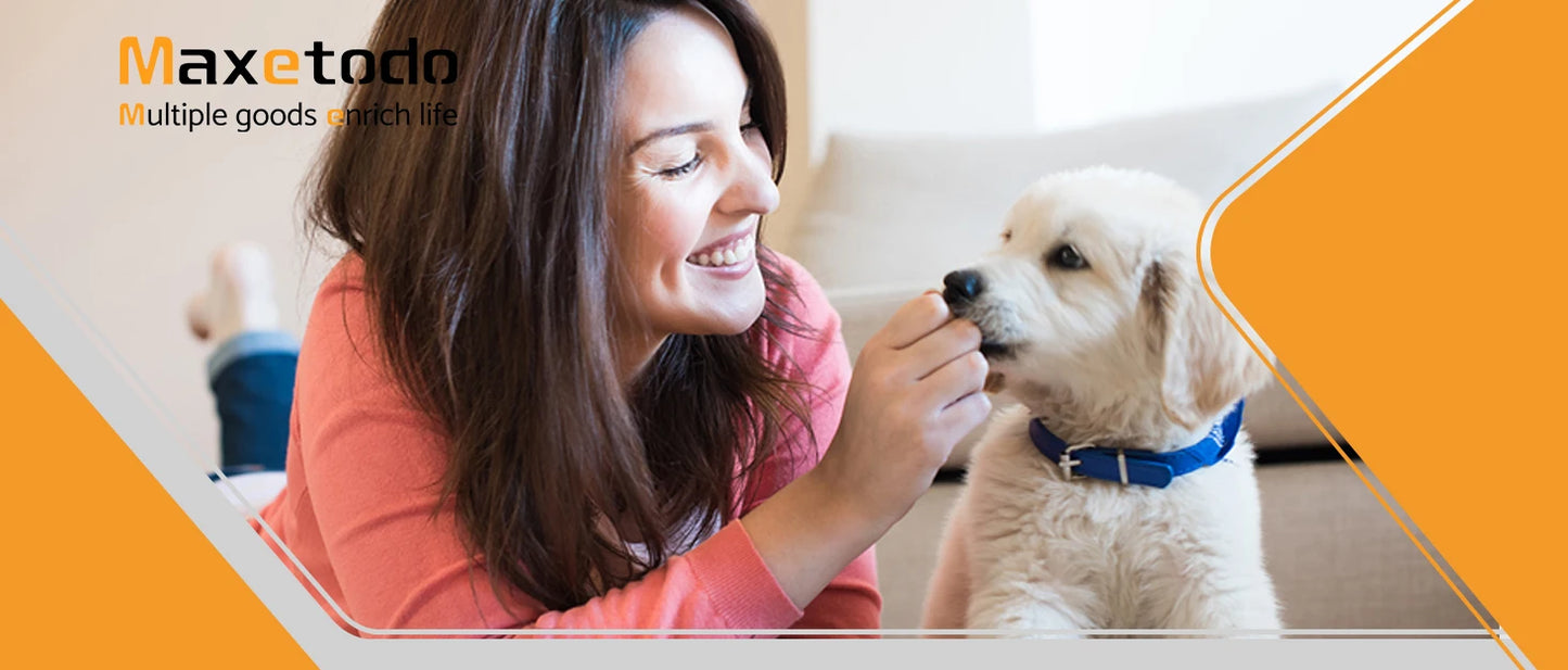 Airline Pet Carrier Soft Travel Bag