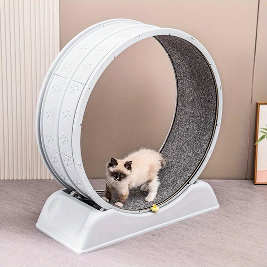 Cat Running Exercise Wheel Treadmill