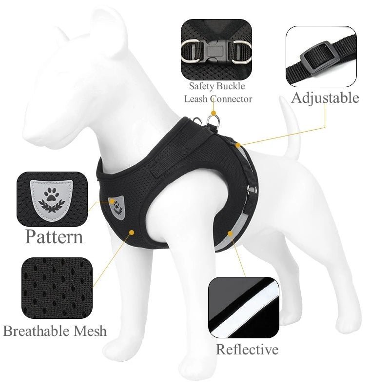 Adjustable Pet Dog Cat Harness and Leash Set