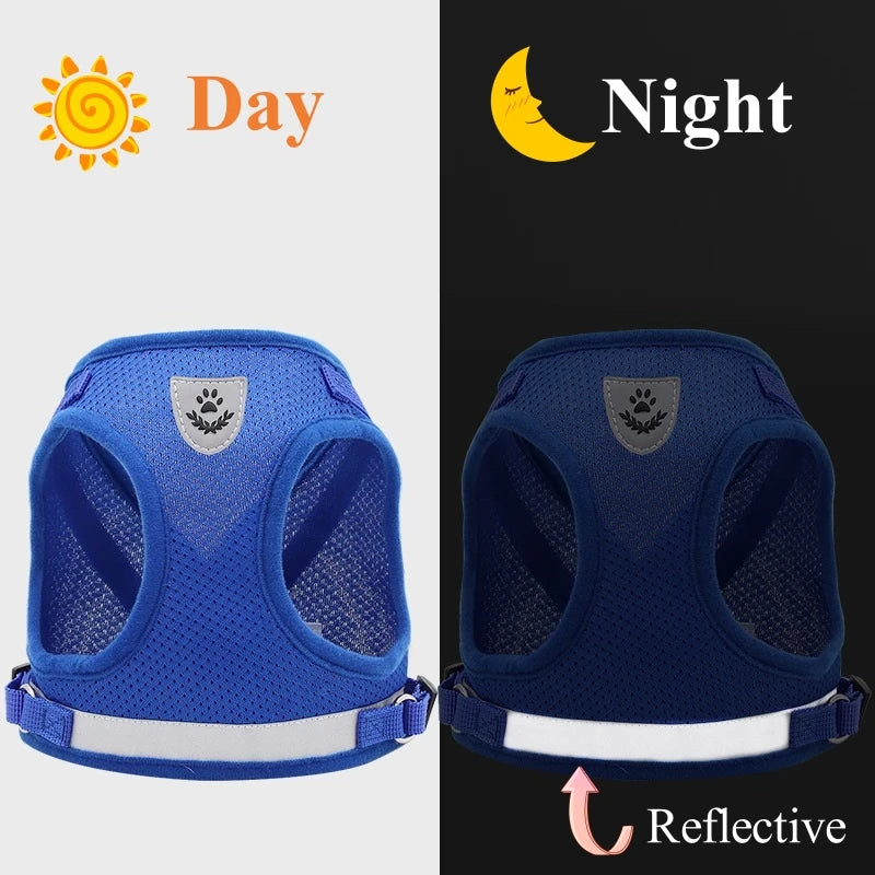 Adjustable Pet Dog Cat Harness and Leash Set