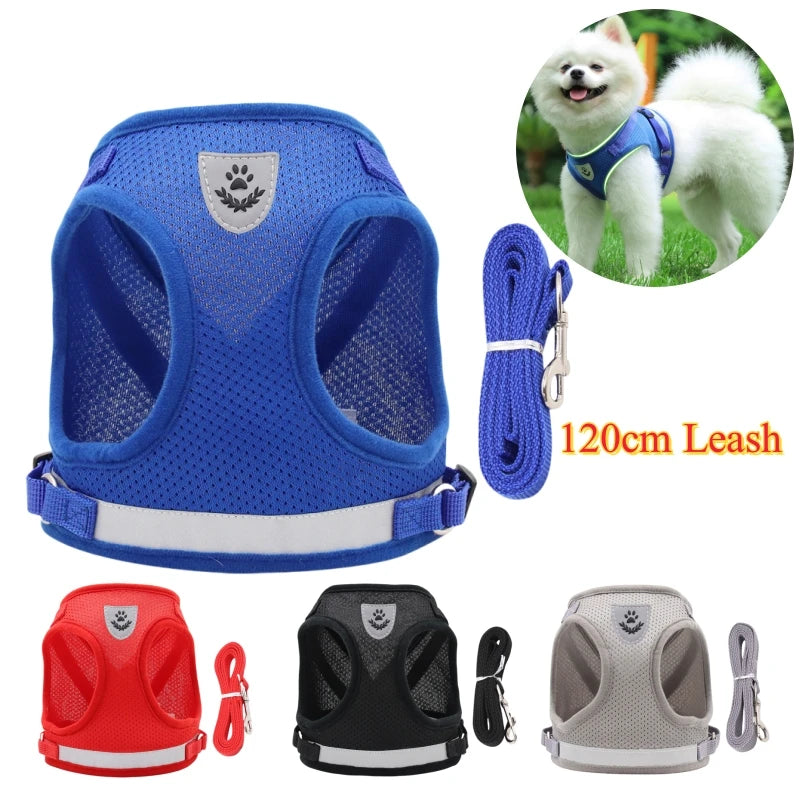 Adjustable Pet Dog Cat Harness and Leash Set