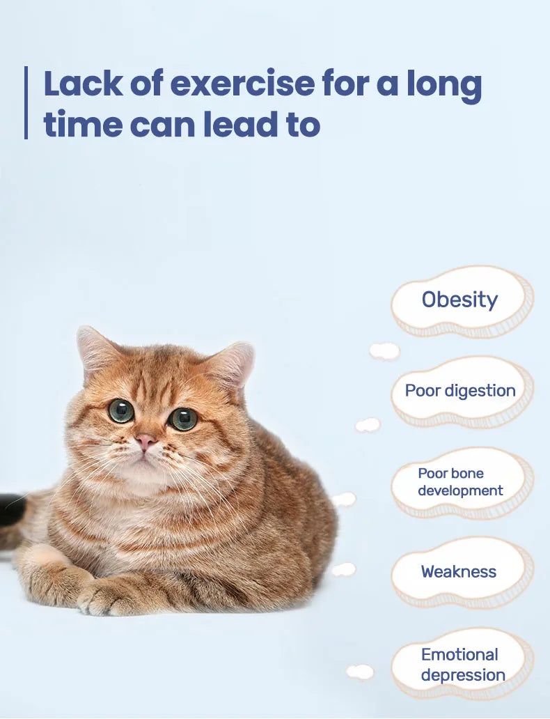 Cat Running Exercise Wheel Treadmill