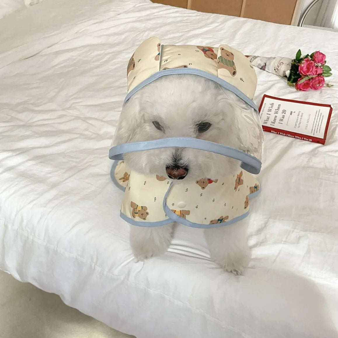 Rain Coat Waterproof with Harness for Pet