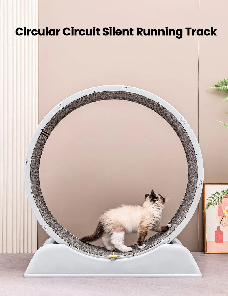 Cat Running Exercise Wheel Treadmill