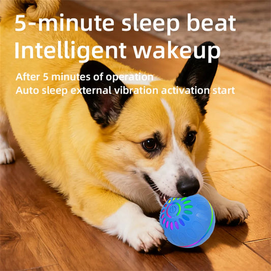 USB Automatic Moving Bouncing Ball for Pet