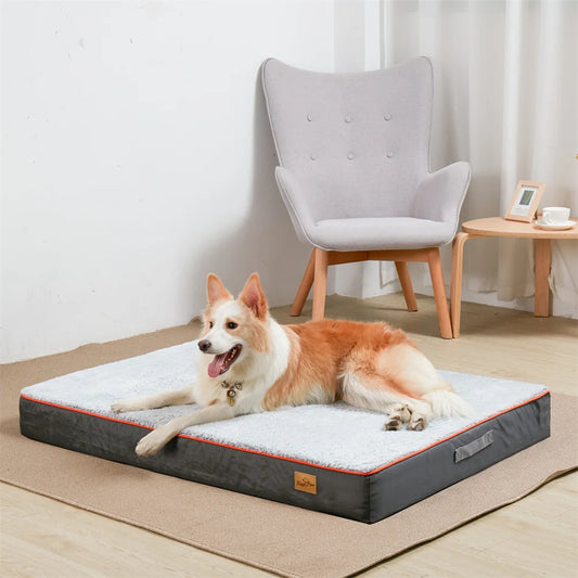 Premium Large Orthopedic Memory Foam for Dog