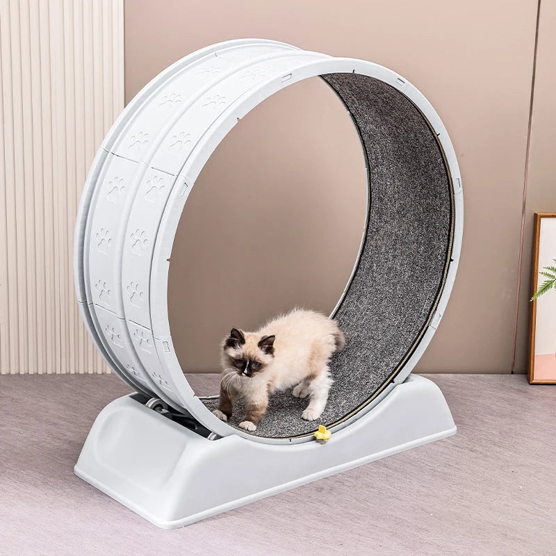 Cat Running Exercise Wheel Treadmill